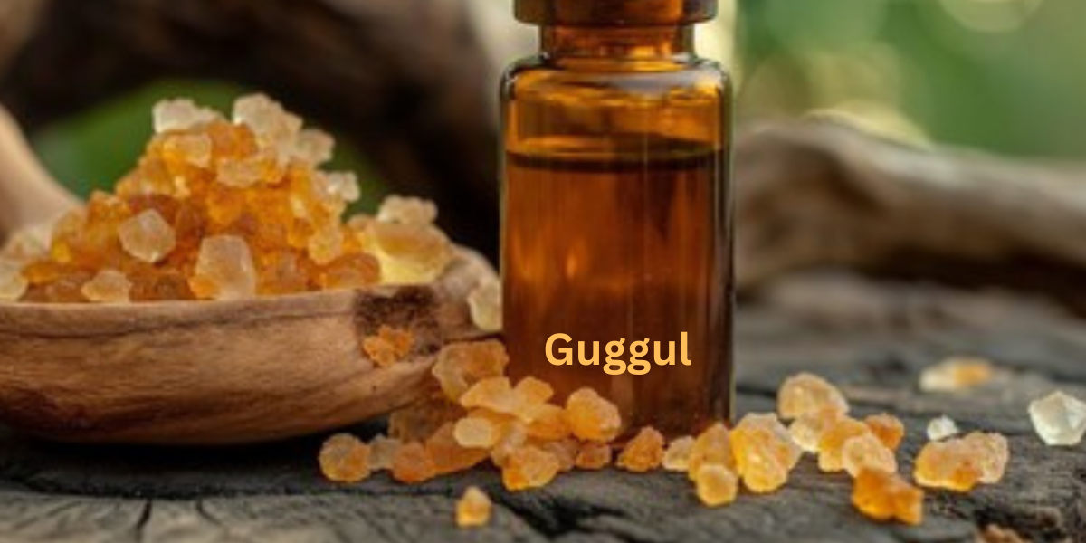 Guggul_final
