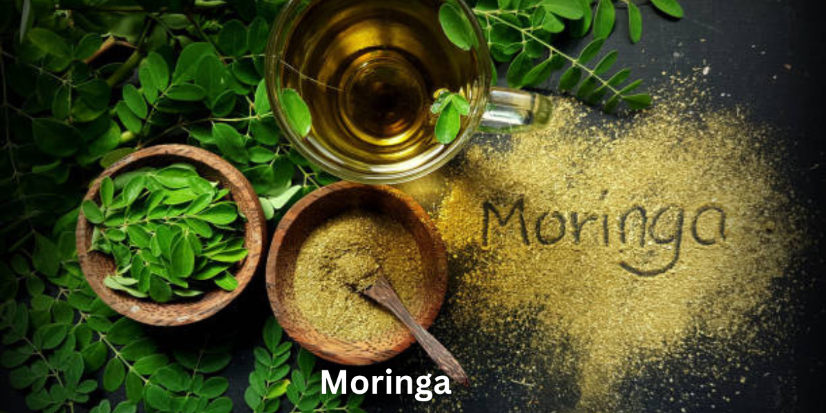 Moringa_final